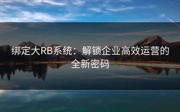 绑定大RB系统：解锁企业高效运营的全新密码